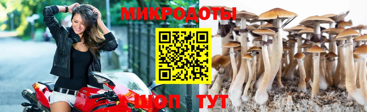 Галлюциногенные грибы прущие грибы  хочу наркоту  Выкса  Вход с VPN 
